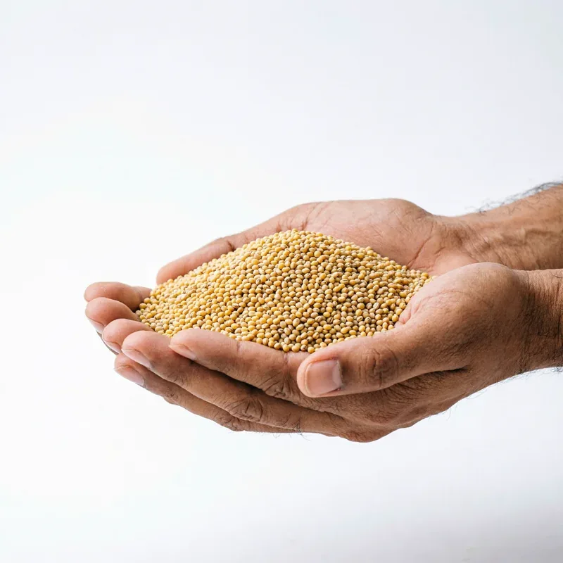 Urad Dhall