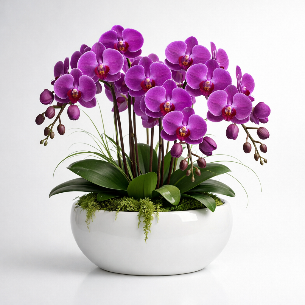 Purple Orchid Arrangement