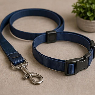Walking Leash